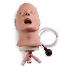 ?Airway Larry? Mgmt Trainer