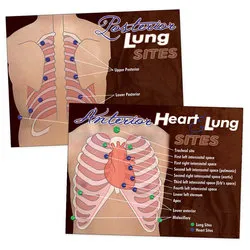 Nascoâ€™s Heart & Lung Sites Visual Aids Poster Set