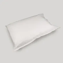 Pillow Cases White T/P 21 x 30, 100/Cs