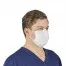 ICP Facial Protection Mask Level 1, Earloop Blue, 500/Cs