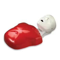 Basic Buddy? CPR Manikin